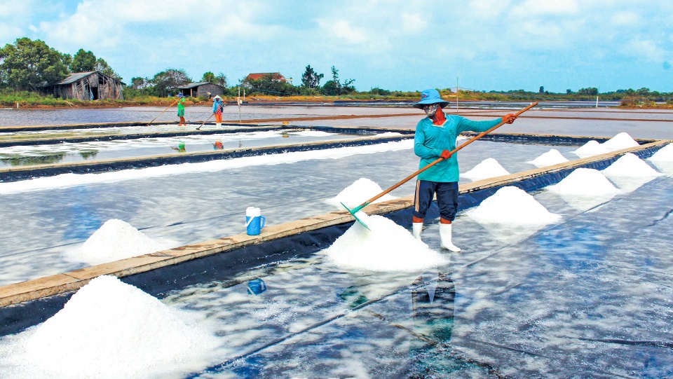 Phát triển bền vững nghề muối trước tác động của biến đổi khí hậu