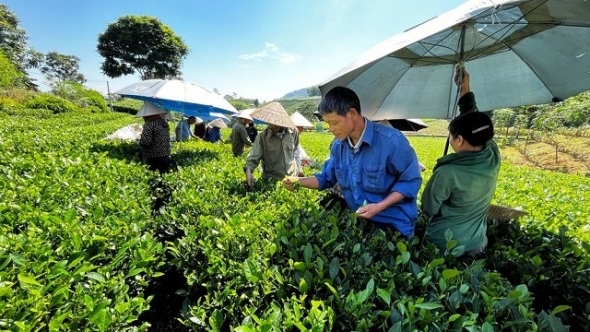 OCOP giúp kinh tế khu vực nông thôn 