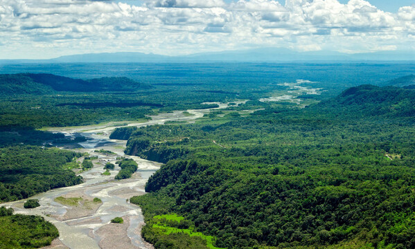 Biến đổi khí hậu gây ảnh hưởng nghiêm trọng đến tài nguyên rừng Biến đổi khí hậu gây ảnh hưởng nghiêm trọng đến tài nguyên rừng