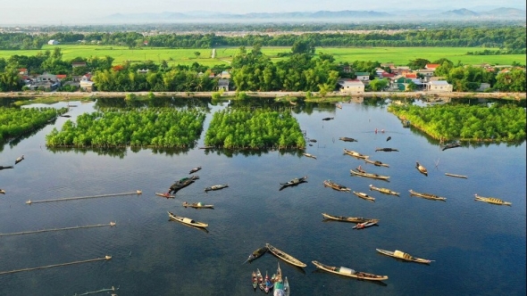 Phục hồi và bảo vệ các hệ sinh thái carbon xanh