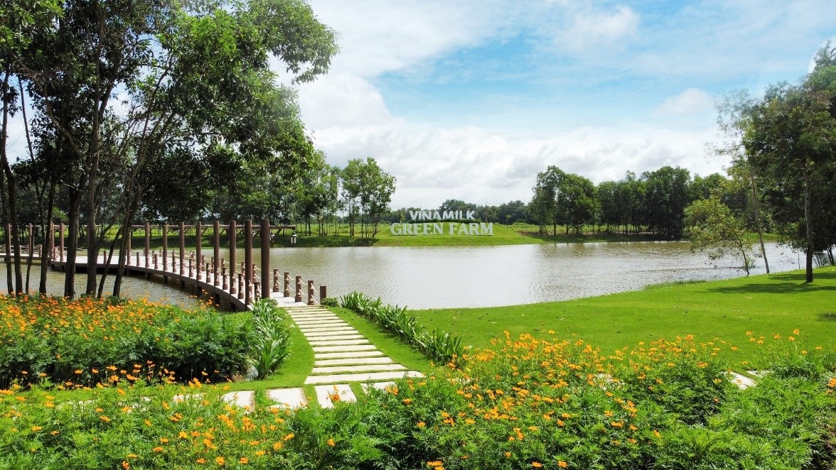 Tổng Giám đốc Vinamilk Mai Kiều Liên: Sáng tạo là yếu tố sống còn Tổng Giám đốc Vinamilk Mai Kiều Liên: Sáng tạo là yếu tố sống còn