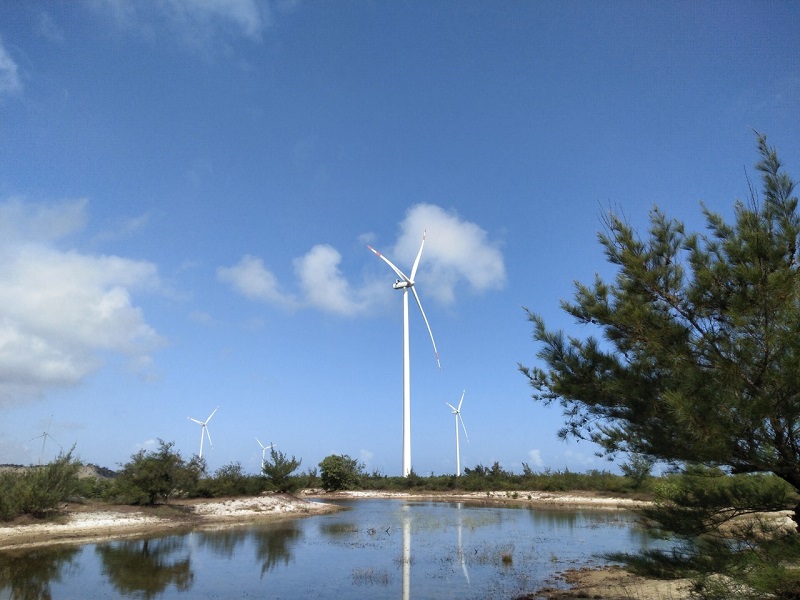 Đánh thức tiềm năng điện gió trong phát triển kinh tế-xã hội Đánh thức tiềm năng điện gió trong phát triển kinh tế-xã hội