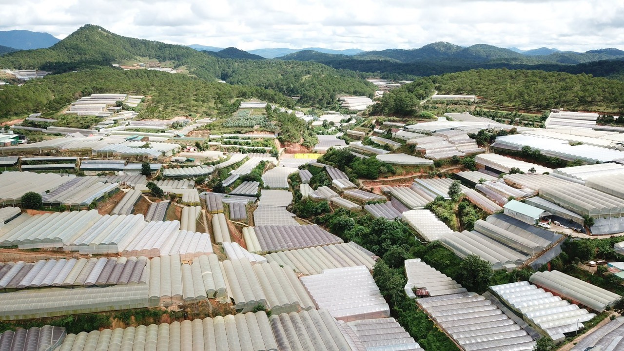 Giảm nhẹ tác động của biến đổi khí hậu cần tăng cường quản lý nhà kính Giảm nhẹ tác động của biến đổi khí hậu cần tăng cường quản lý nhà kính