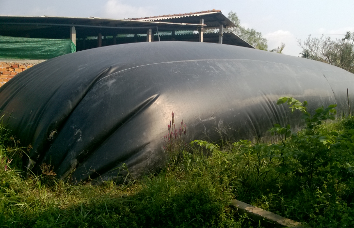 Thúc đẩy chuyển đổi năng lượng xanh từ khí sinh học Thúc đẩy chuyển đổi năng lượng xanh từ khí sinh học