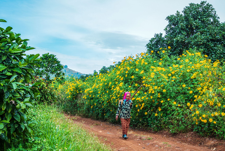 Đà Lạt - mùa đẹp nhất năm Đà Lạt - mùa đẹp nhất năm