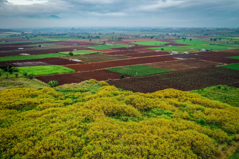 Đà Lạt - mùa đẹp nhất năm Đà Lạt - mùa đẹp nhất năm