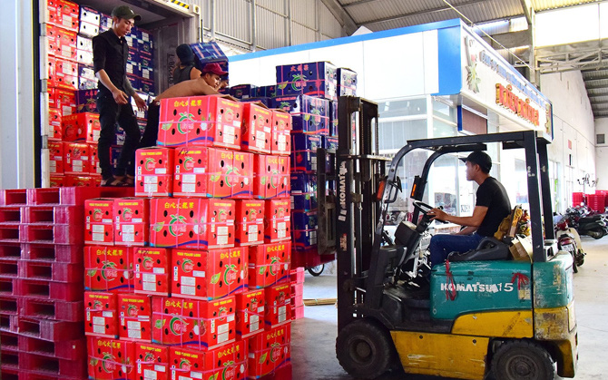 Chi phí logistics cao làm giảm sức cạnh tranh cho nông sản Chi phí logistics cao làm giảm sức cạnh tranh cho nông sản