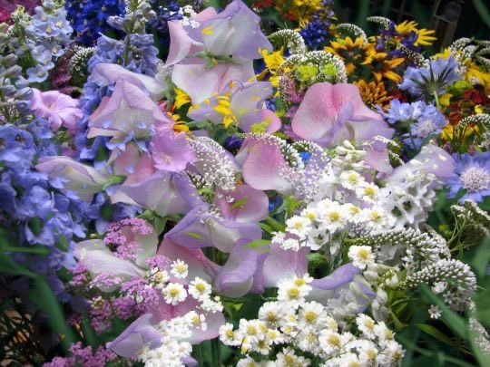 Tử vi 12 con giáp ngày 4/11/2023: Tuổi Tý sự nghiệp rộng mở, tuổi Tỵ bất ổn