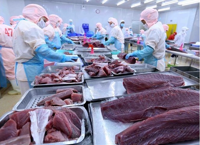 Nỗ lực phục hồi đà tăng trưởng xuất khẩu thủy sản Nỗ lực phục hồi đà tăng trưởng xuất khẩu thủy sản