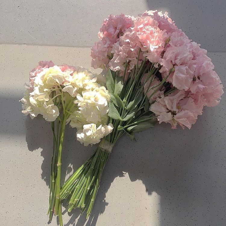 Tử vi 12 con giáp ngày 5/11/2023: Tuổi Hợi tin vui tiền bạc, tuổi Dậu gặp rắc rối