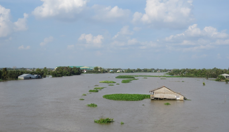 Việt Nam sẵn sàng hợp tác, chia sẻ về ứng phó biến đổi khí hậu, nước biển dâng Việt Nam sẵn sàng hợp tác, chia sẻ về ứng phó biến đổi khí hậu, nước biển dâng