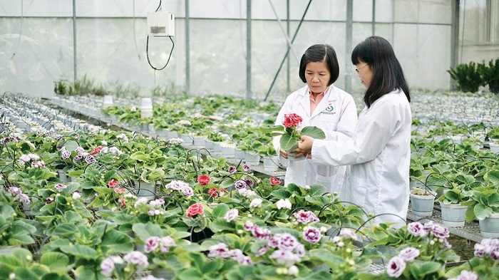 Nghiên cứu, ứng dụng công nghệ sinh học trong phát triển kinh tế-xã hội Nghiên cứu, ứng dụng công nghệ sinh học trong phát triển kinh tế-xã hội