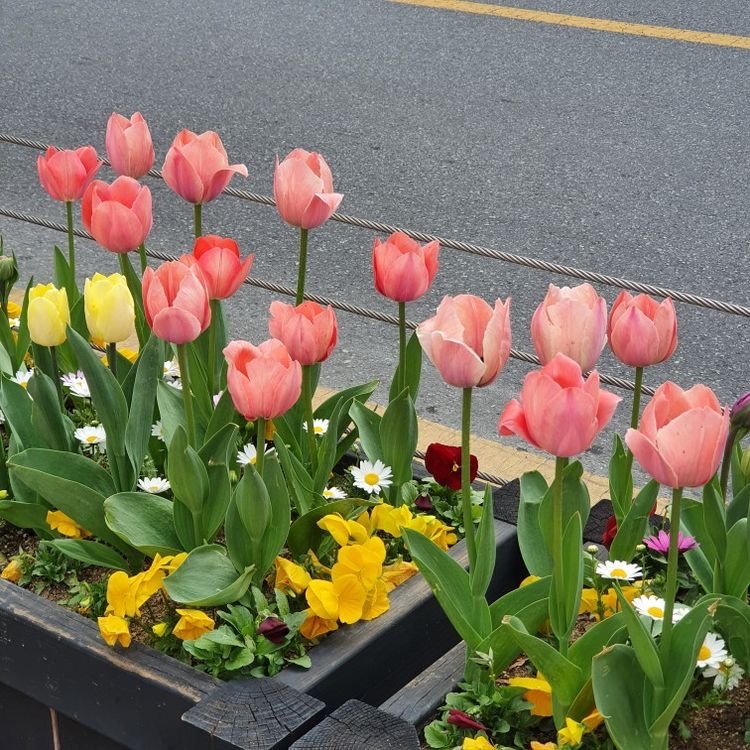 Tử vi 12 con giáp ngày 14/11/2023: Tuổi Tuất đối mặt khó khăn, tuổi Dậu dấu hiệu tích cực Tử vi 12 con giáp ngày 14/11/2023: Tuổi Tuất đối mặt khó khăn, tuổi Dậu dấu hiệu tích cực