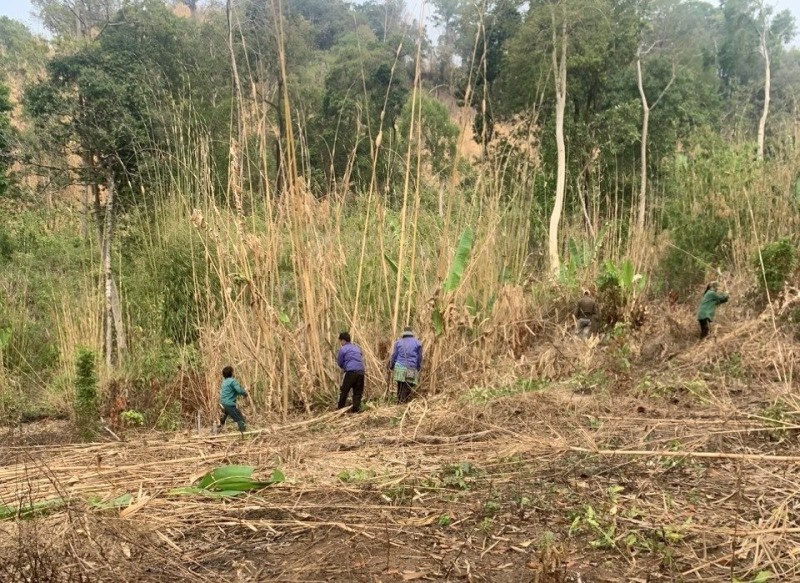 “Tuyên bố Glasgow” là gì?