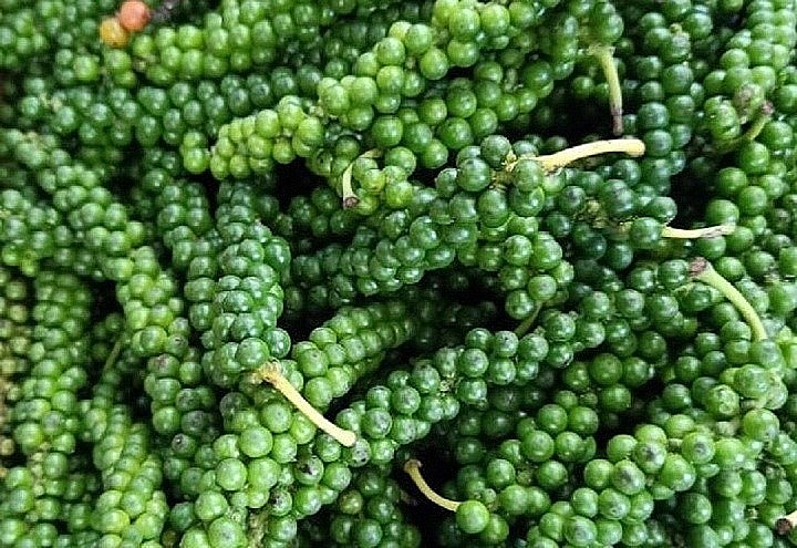 Giá tiêu hôm nay 19/11: Duy trì đà tăng