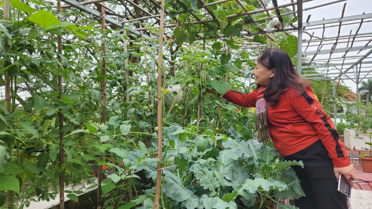 Nỗ lực vì môi trường xanh, biến rác thải hữu cơ thành phân bón