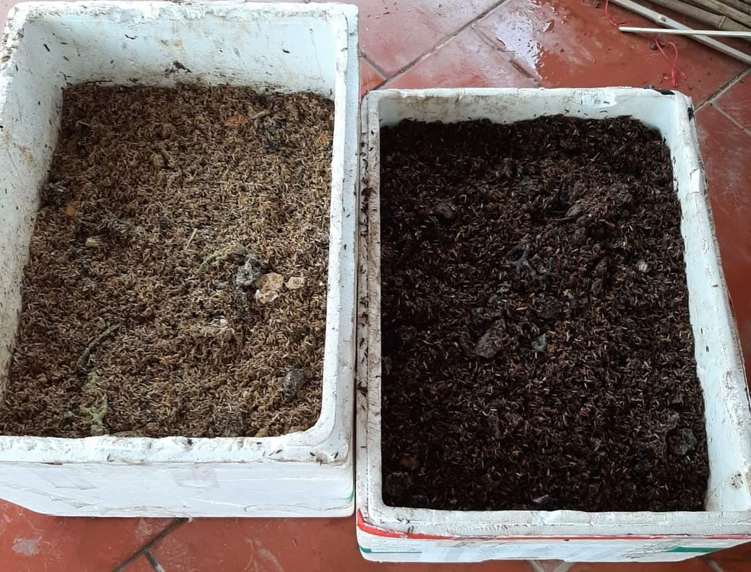 Nỗ lực vì môi trường xanh, biến rác thải hữu cơ thành phân bón