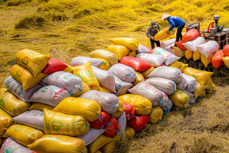 Bảo đảm an ninh năng lượng, an ninh lương thực quốc gia Bảo đảm an ninh năng lượng, an ninh lương thực quốc gia