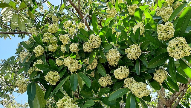 Tử vi vòng quay công nghệ ngày 02/11/2025: Tuổi Dần nên tránh xa các cuộc cãi vã, Tuổi Thân nên đề phòng vài mối quan hệ Tử vi vòng quay công nghệ ngày 02/11/2025: Tuổi Dần nên tránh xa các cuộc cãi vã, Tuổi Thân nên đề phòng vài mối quan hệ