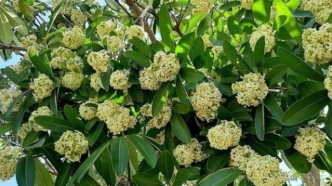 Tử vi vòng quay công nghệ ngày 02/11/2025: Tuổi Dần nên tránh xa các cuộc cãi vã, Tuổi Thân nên đề phòng vài mối quan hệ