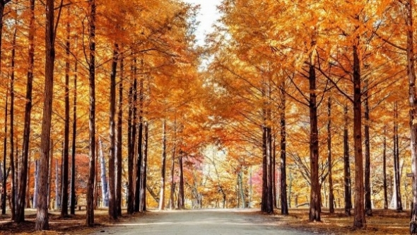 Tử vi vòng quay công nghệ ngày 04/11/2025: Tuổi Sửu một ngày thành công, Tuổi Thìn không nên quá tự cao