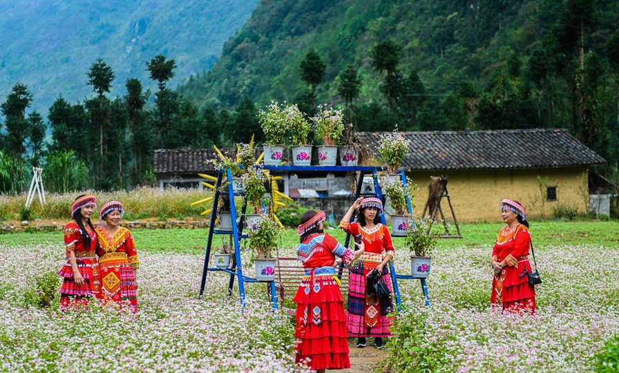 Tuyên Quang đặt nhiều kỳ vọng ở Lễ hội hoa Tam giác mạch Tuyên Quang đặt nhiều kỳ vọng ở Lễ hội hoa Tam giác mạch