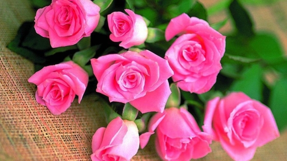 Tử vi vòng quay công nghệ ngày 05/11/2025: Tuổi Dần có đường tài lộc, Tuổi Dậu có tinh thần cầu tiến