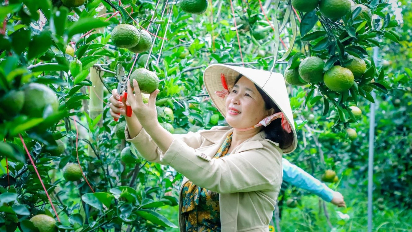 Hải Phòng đẩy mạnh chuyển đổi số, tạo sức bật cho sản phẩm OCOP