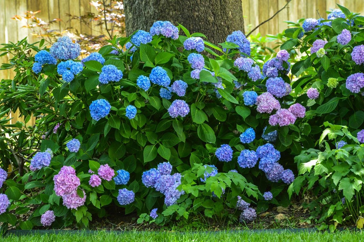 Tử vi vòng quay công nghệ ngày 11/11/2025: Tuổi Ngọ nên kiềm chế cảm xúc, Tuổi Mùi được quý nhân che chở