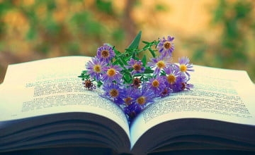 Tử vi vòng quay công nghệ ngày 12/11/2025: Tuổi Sửu sự nghiệp hanh thông, Tuổi Dần vận trình không được thuận lợi