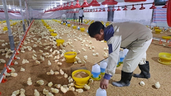 Công nghệ cao mở hướng phát triển mới cho ngành chăn nuôi Bắc Ninh