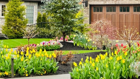 Tử vi vòng quay công nghệ ngày 20/11/2025: Tuổi Hợi khá suôn sẻ, tuổi Mùi gặp khó khăn