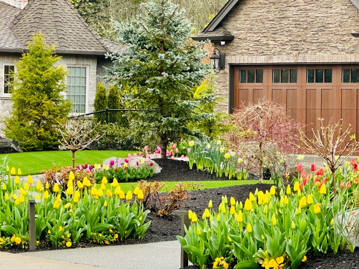 Tử vi vòng quay công nghệ ngày 20/11/2025: Tuổi Hợi khá suôn sẻ, tuổi Mùi gặp khó khăn