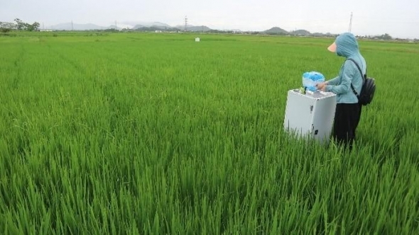 Lào Cai ứng dụng công nghệ tưới giảm phát thải trong canh tác lúa