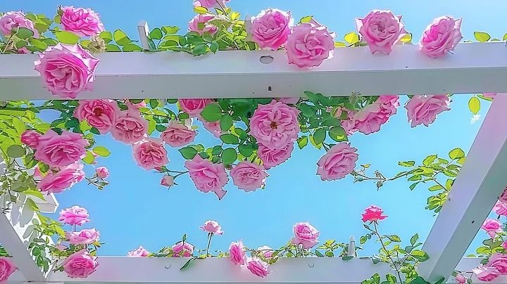 Tử vi vòng quay công nghệ ngày 27/11/2025: Tuổi Thân kiếm được một khoản tiền, tuổi Tý dễ vướng phải tranh cãi