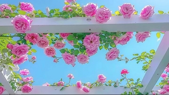 Tử vi vòng quay công nghệ ngày 27/11/2025: Tuổi Thân kiếm được một khoản tiền, tuổi Tý dễ vướng phải tranh cãi