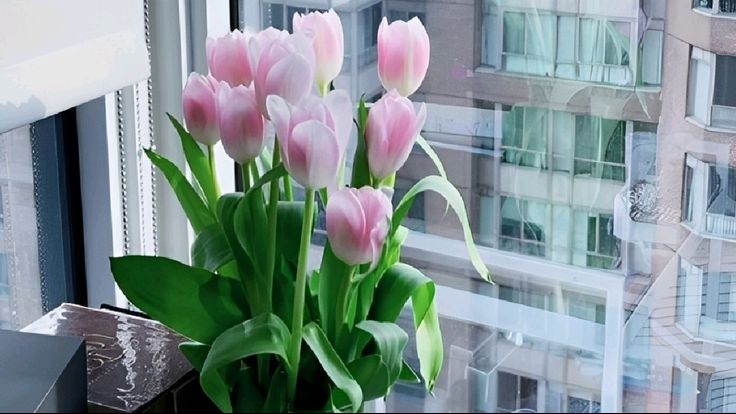 Tử vi vòng quay công nghệ ngày 28/11/2025: Tuổi Sửu điềm báo thị phi, tuổi Ngọ khởi sắc hơn hẳn