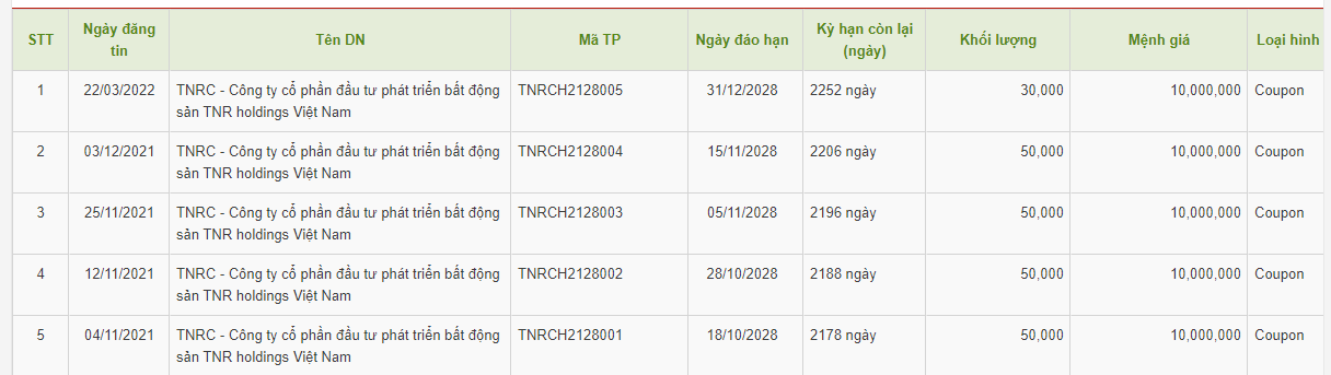 Hệ sinh thái TNG Holdings và “cuộc chơi” trên thị trường trái phiếu doanh nghiệp