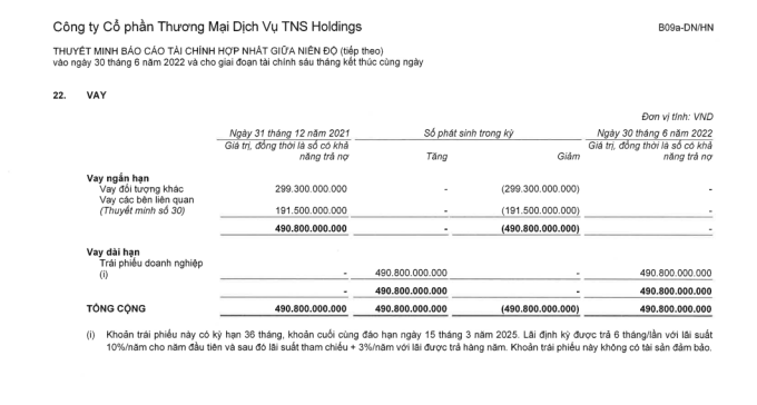 Hệ sinh thái TNG Holdings và “cuộc chơi” trên thị trường trái phiếu doanh nghiệp
