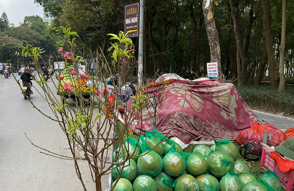 Đào Nhật Tân phục vụ khách chơi Tết sớm