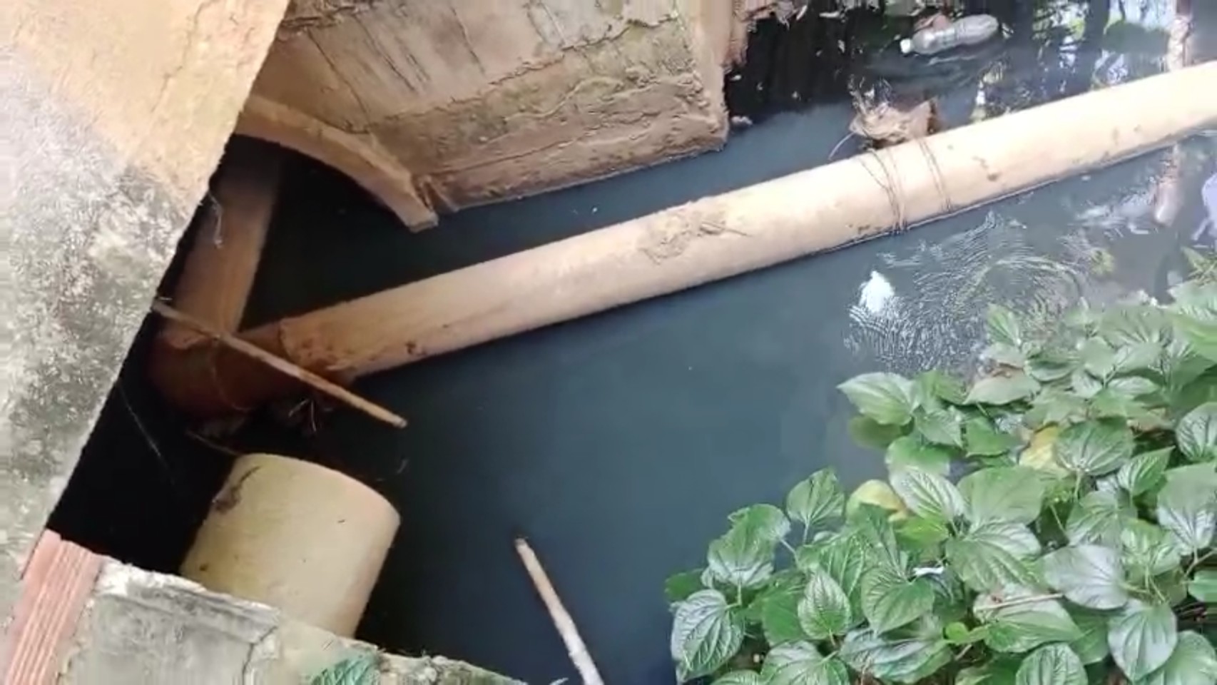 Đồng Nai: Người dân “than trời” vì nước thải xả ra cánh đồng Đồng Nai: Người dân “than trời” vì nước thải xả ra cánh đồng