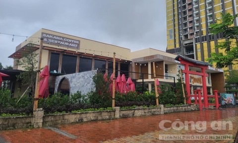 Sau khi bị tố cáo, Công ty Sakana bỗng dưng khai báo nộp thuế gấp gần 50 lần