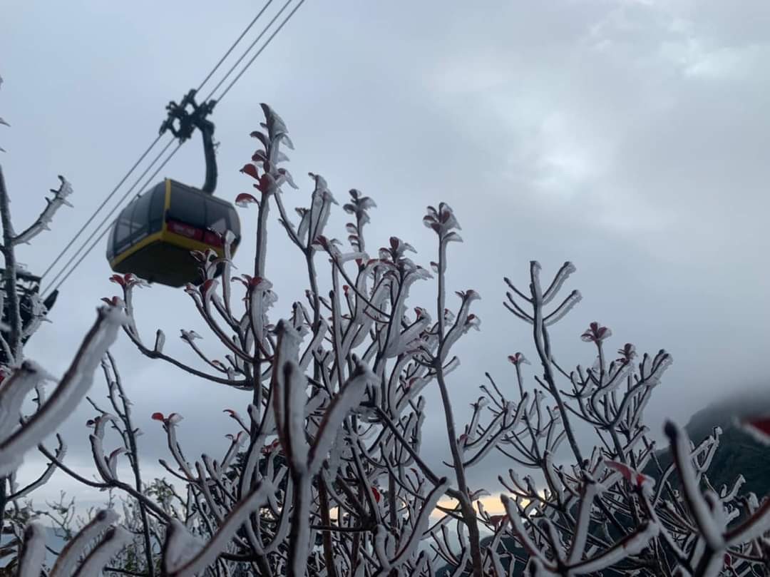 Nhiệt độ xuống âm 7 độ C, băng giá dày đặc trên đỉnh Fansipan Nhiệt độ xuống âm 7 độ C, băng giá dày đặc trên đỉnh Fansipan