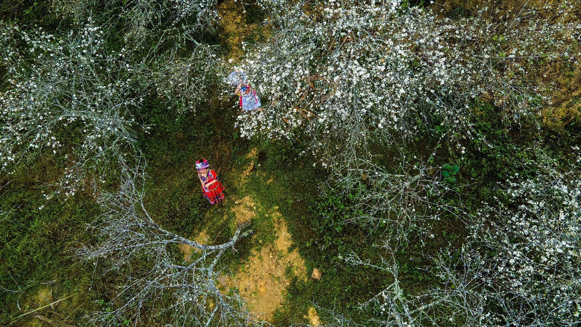 Chơi ở đâu khi đi đến Nghệ An? Chơi ở đâu khi đi đến Nghệ An?