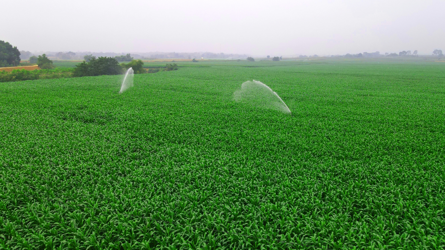 Vinamilk 7 năm liền vào top 10 doanh nghiệp bền vững Việt Nam