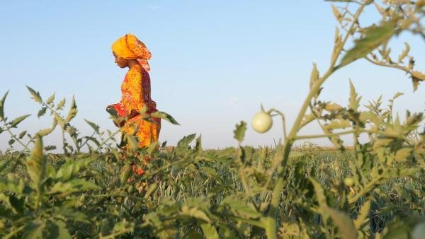 Gần 90% dân số châu Phi chịu ảnh hưởng của biến đổi khí hậu Gần 90% dân số châu Phi chịu ảnh hưởng của biến đổi khí hậu