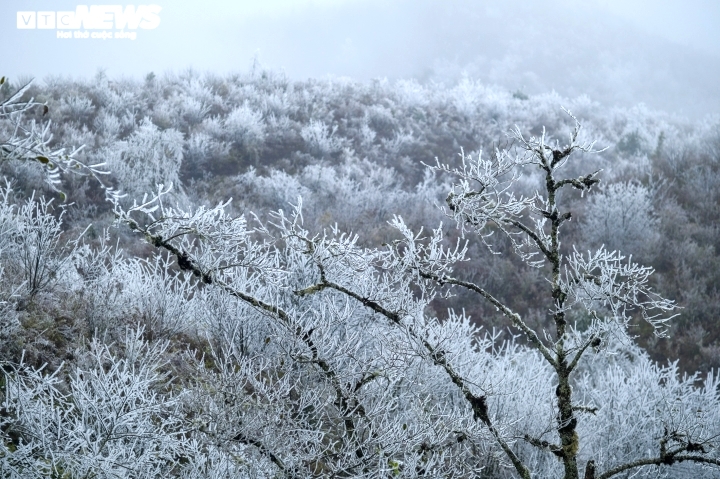 Miền Bắc sắp đón đợt không khí lạnh mới, khả năng xảy ra mưa tuyết Miền Bắc sắp đón đợt không khí lạnh mới, khả năng xảy ra mưa tuyết
