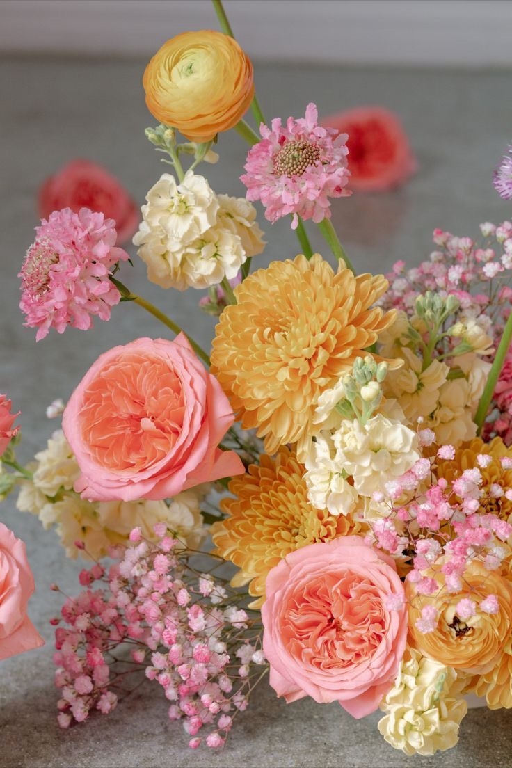 Tử vi 12 con giáp ngày 2/12/2023: Tuổi Hợi thuận buồm xuôi gió, tuổi Mão kẻ xấu lợi dụng