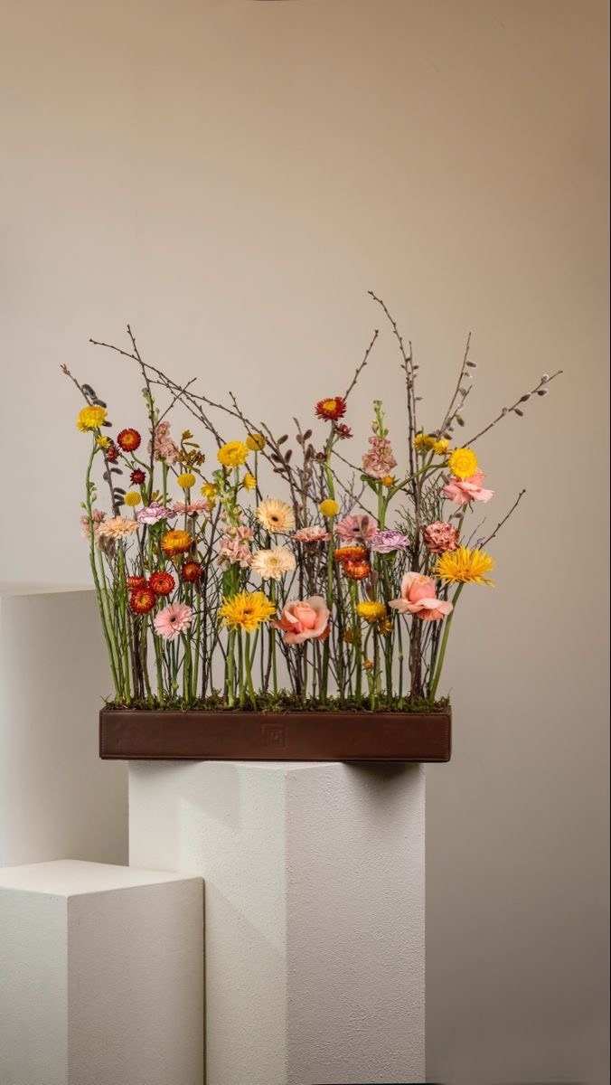 Tử vi 12 con giáp ngày 7/12/2023: