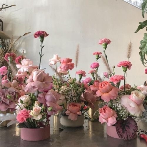 Tử vi 12 con giáp ngày 10/12/2023: Tuổi Hợi gặp khó khăn, tuổi Dần cảm xúc tích cực